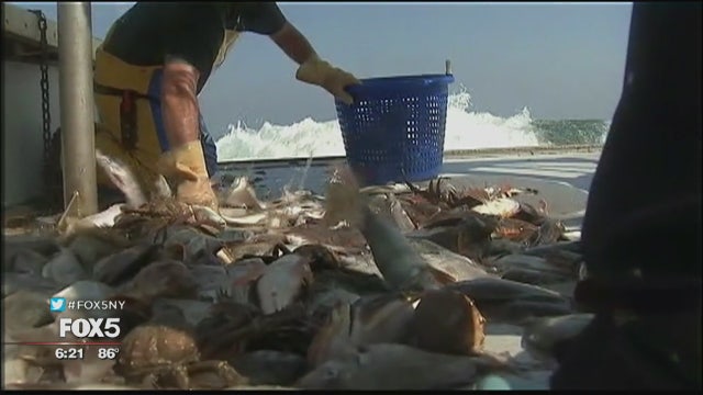 Encouraging New Yorkers to eat more locally caught seafood