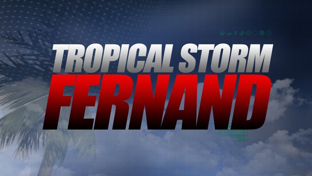 Tropical Storm Fernand has formed in the Gulf of Mexico