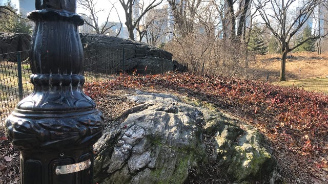 New York secrets: How lampposts help you navigate Central Park