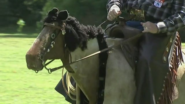 Suburban cowboy's electric horse turns heads in New Jersey