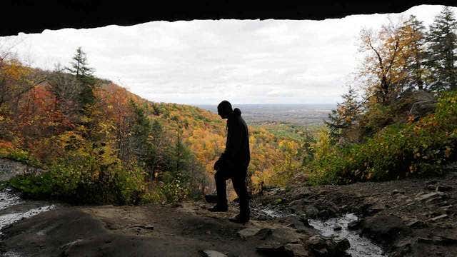 Fall foliage reports