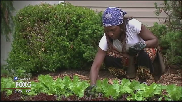 Long Island home's front yard transformed into farm