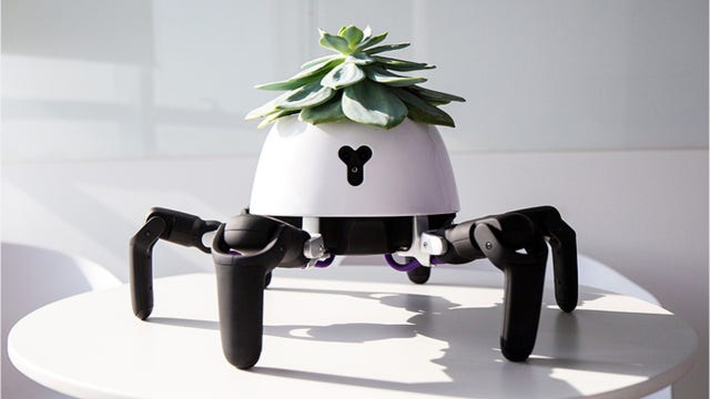 Green thumb made easy: A plant robot chases sunlight, stomps when it needs water