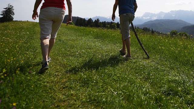 Lost Texas hikers hide in tree from 'feral pig'