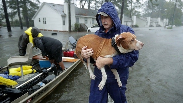How to help those affected by Hurricane Florence