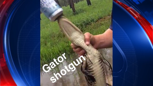 2 arrested for trying to force alligator to drink beer