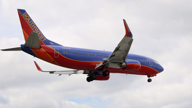 Southwest Airlines to allow miniature horses as service animals in new policy