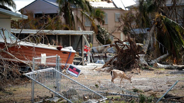 U.S. hits record-level $306 billion for weather disasters