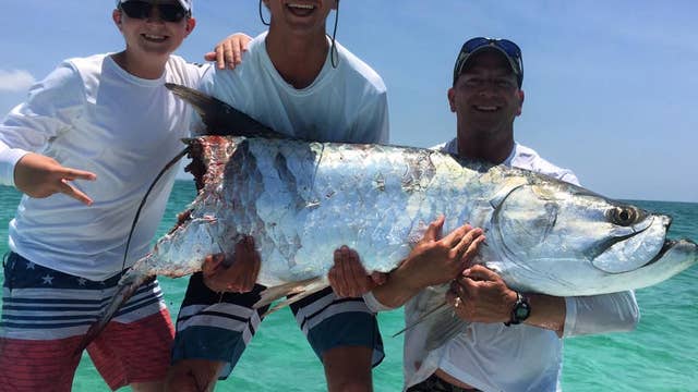 VIDEO: Hammerhead intercepts fisherman's large tarpon
