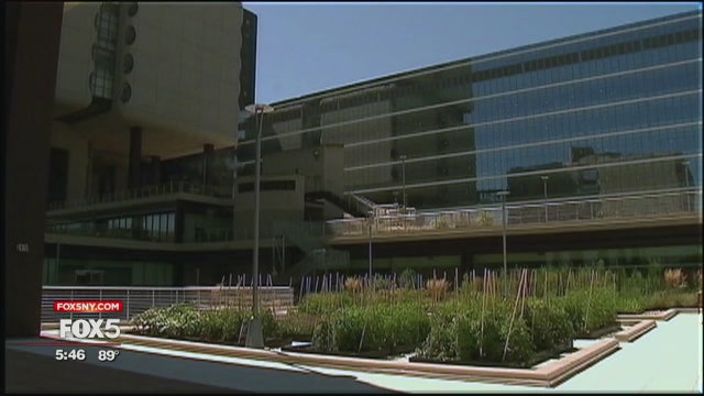 Produce grows on rooftop of hospital on Long Island
