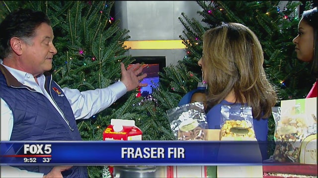 Tips for picking the perfect Christmas tree