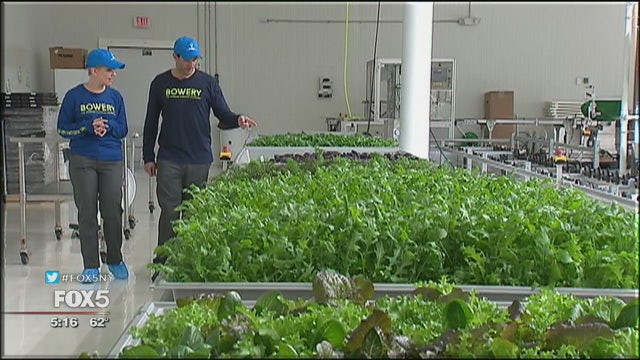 Innovative, efficient indoor farm in New Jersey