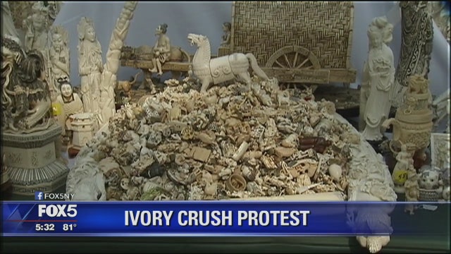More than $8 million worth of illegal elephant ivory crushed in Central Park