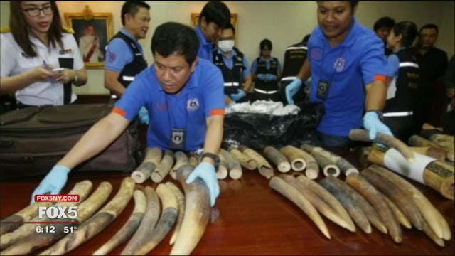 U.S. reverses ban on ivory imports