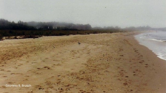 Battered by Sandy, New Jersey plans against sea level rise