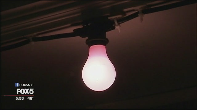 NYC store only sells light bulbs