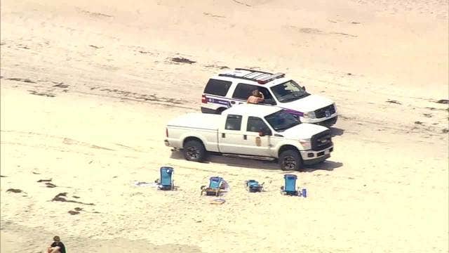 DNA confirms sand tiger shark bit boy at Fire Island