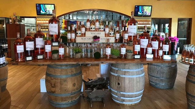 Exploring Long Island's North Fork wine country