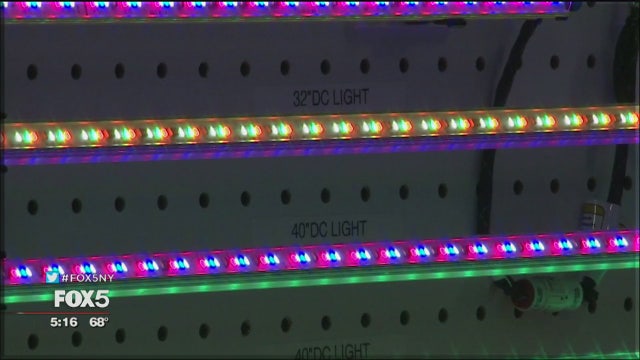 LEDs for passenger aircraft | Made on Long Island