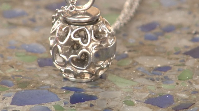 Treasure hunter hopes to find owner of miniature urn found at Siesta Key Beach