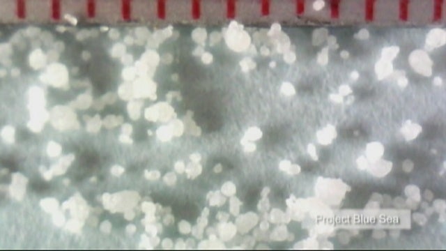 Suffolk County bans microbeads