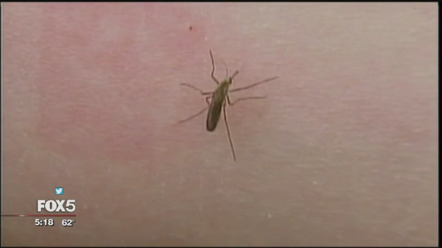 Cold, snowy spring means fewer mosquitoes