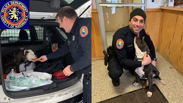 Cops save hungry, wet, cold dog from outside abandoned home