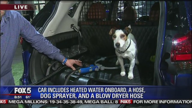 Car specially designed for dogs at NY Auto Show