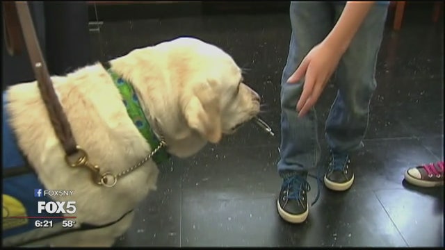 Nassau D.A. dog helps relax victims, witnesses