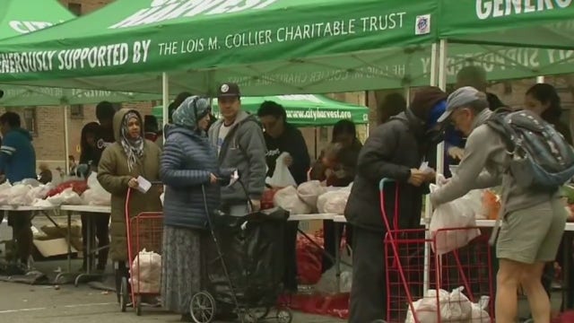 New Yorkers step up during National Volunteer Week and beyond