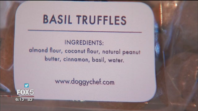 Gourmet food and acupuncture for your dog