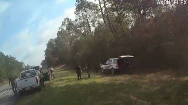 2 dogs save foster kids wandering along Florida's I-10; one girl said she was chasing a rainbow