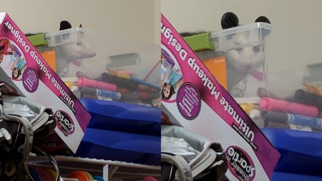 Mom shocked to find daughters weren't lying about ‘creature' in the closet