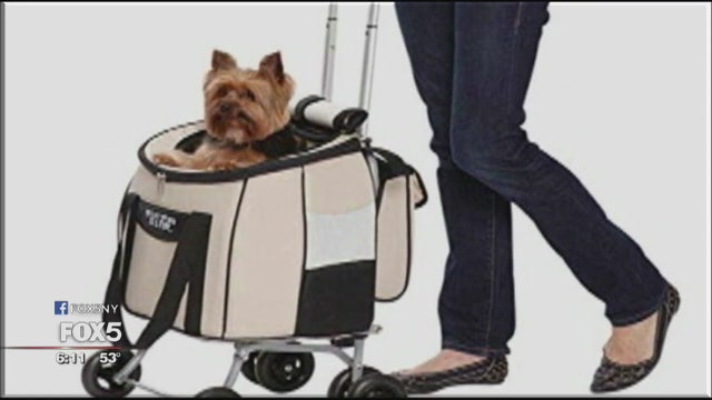 Are we over-pampering our pets?