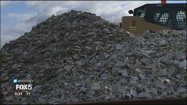 Jamaica Bay oyster reef made from crushed toilets