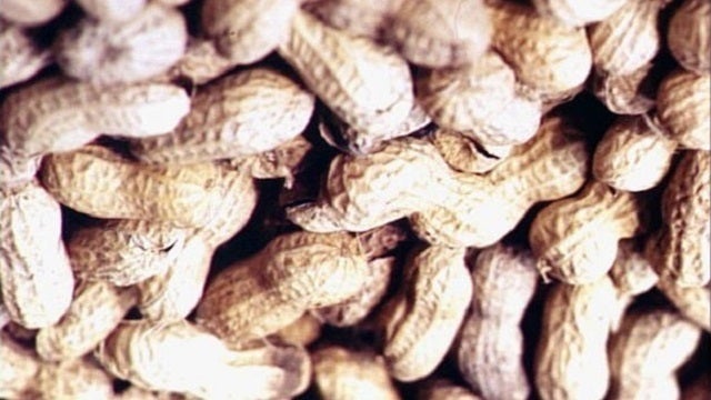 Study suggests babies who eat peanuts are less likely to develop allergy