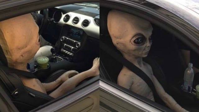 Speeding man in Alpharetta pulled over with alien doll passenger