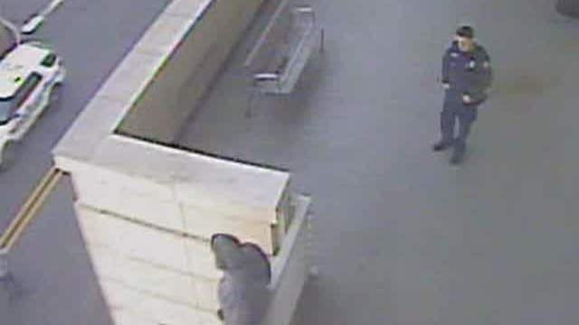 Police rescue suicidal man at Long Island mall