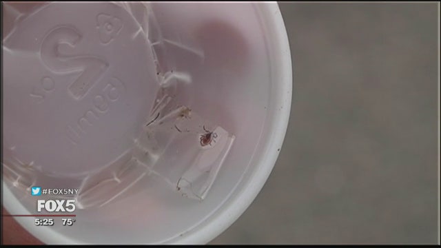 Preventing tick bites is crucial, experts say