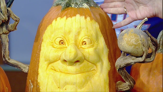 Pumpkin carving 101