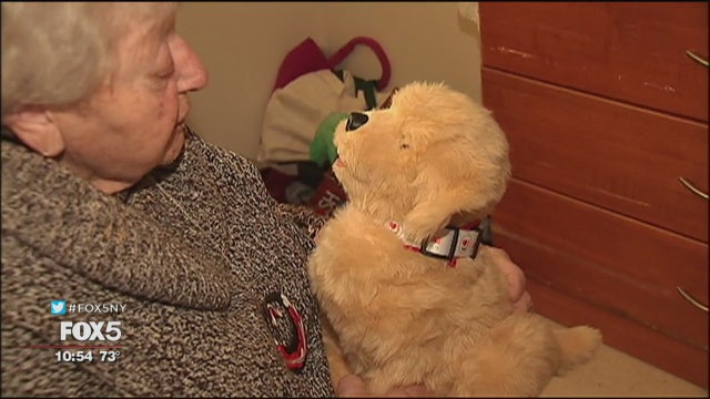 Robotic pets for the elderly