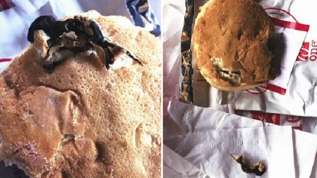 Lawsuit: Woman claims rodent was baked into Chick-Fil-A sandwich