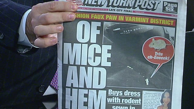 Woman claims rat sewn into Zara dress