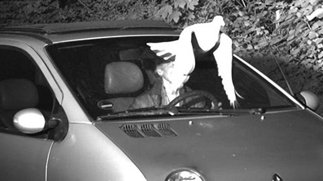 Police say 'Holy Spirit' saved speeder from ticket