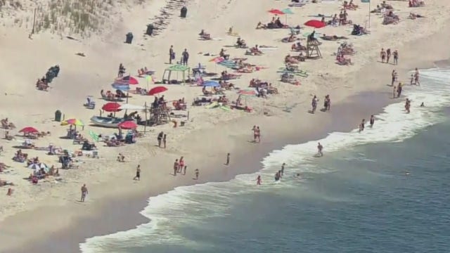 DEC: Tooth in bite wound was from small shark