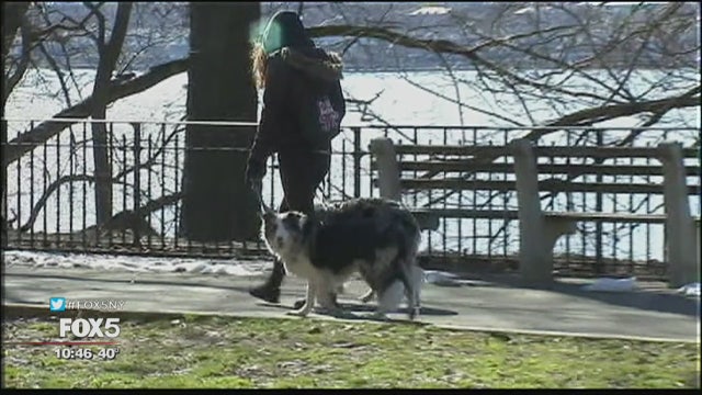 App points you to dog-friendly places around NYC