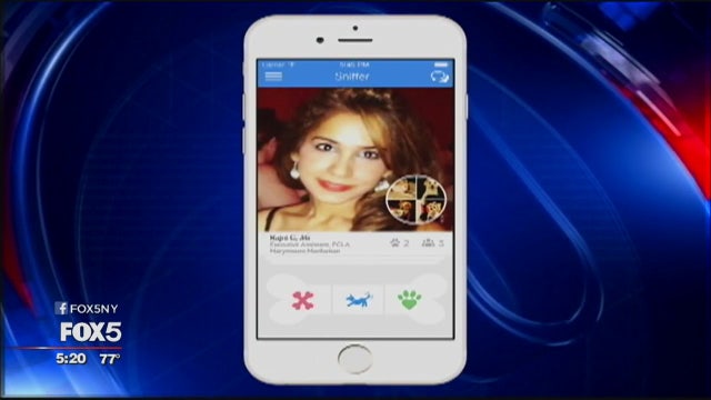 A dating and social mobile app for dog lovers