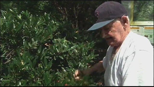 Elderly, disabled people giving back as volunteers