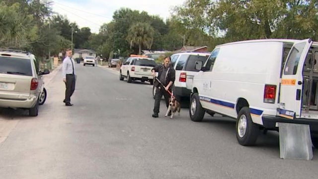 Dog attacks family trying to dress it in sweater