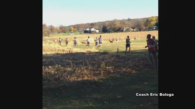 Deer collides with runner at cross country meet